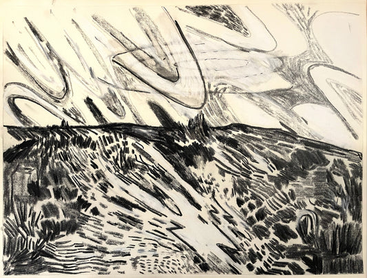 Charcoal on Paper, 18"x24"