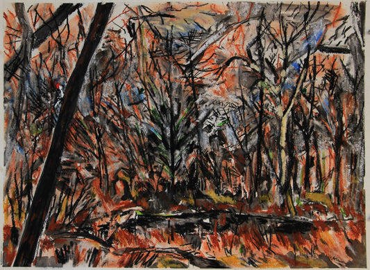 Watercolor and Pastel on paper, 18"x24"