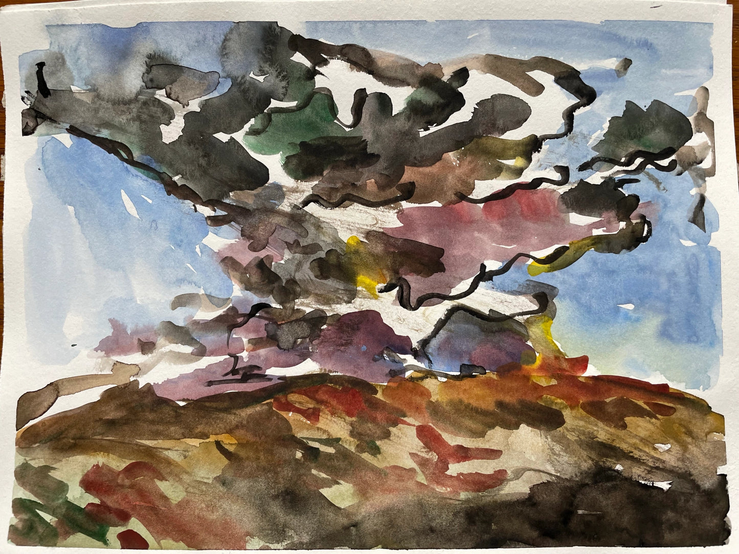 Watercolor on Paper, 9"x12"