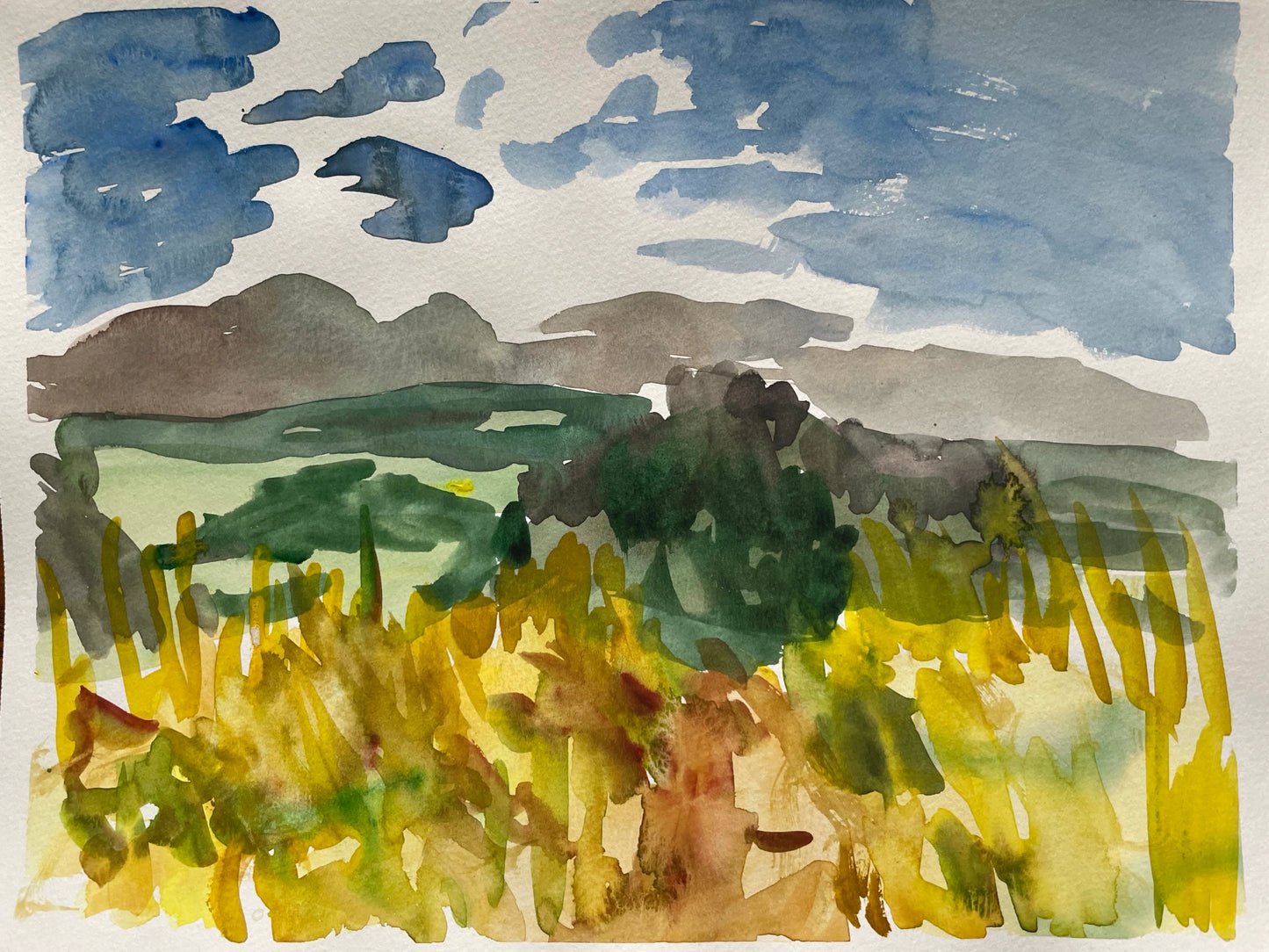 Watercolor on Paper, 9"x12"