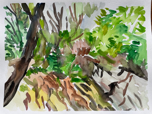 Watercolor on Paper, 9"x12"